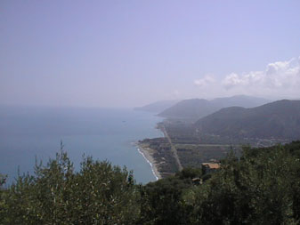 8c.jpg (13017 byte)